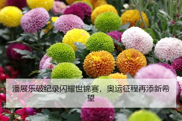 潘展乐破纪录闪耀世锦赛，奥运征程再添新希望