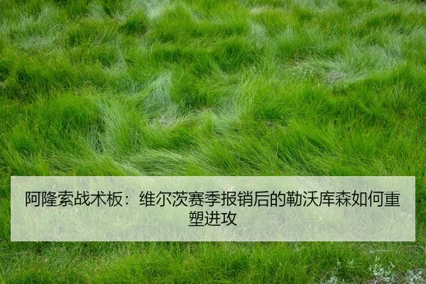 a-long-suo-zhan-shu-ban-wei-er-ci-sai-ji-bao-xiao-hou-de-lei-wo-ku-sen-ru-he-zhong-su-jin-gong-3-575.jpg
