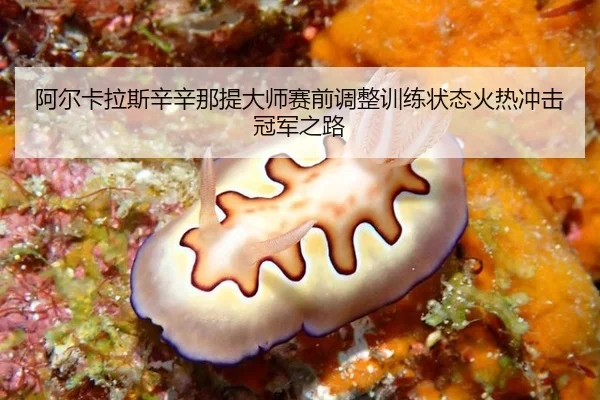 a-er-ka-la-si-xin-xin-na-ti-da-shi-sai-qian-tiao-zheng-xun-lian-zhuang-tai-huo-re-chong-ji-guan-jun-zhi-lu-3-846.jpg