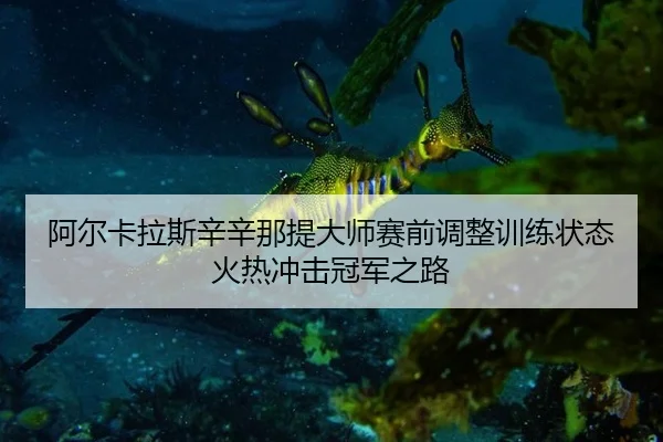 阿尔卡拉斯辛辛那提大师赛前调整训练状态火热冲击冠军之路