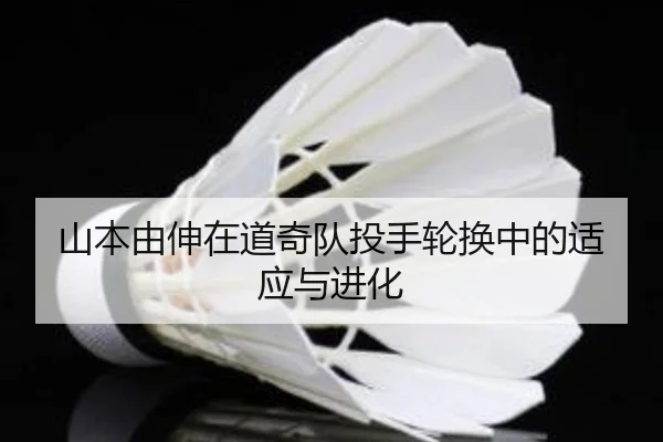 shan-ben-you-shen-zai-dao-qi-dui-tou-shou-lun-huan-zhong-de-shi-ying-yu-jin-hua-2-365.jpg