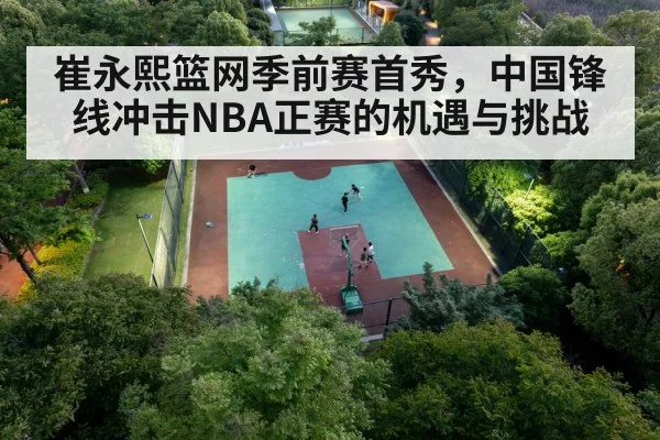 chinese basketball player